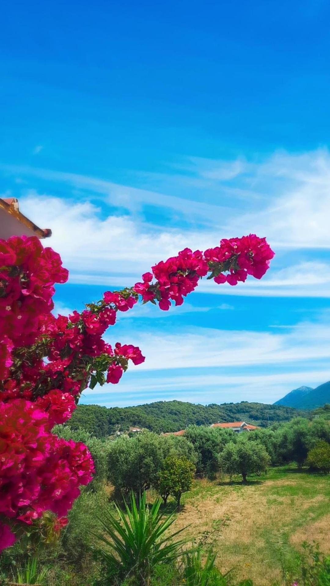 Villa Thea Kato Samikon Zewnętrze zdjęcie